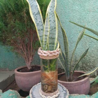 Pot de fleur