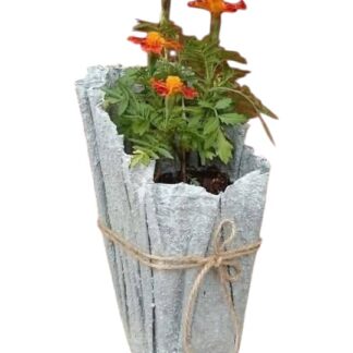 Pot de fleur