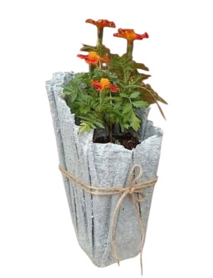 Pot de fleur